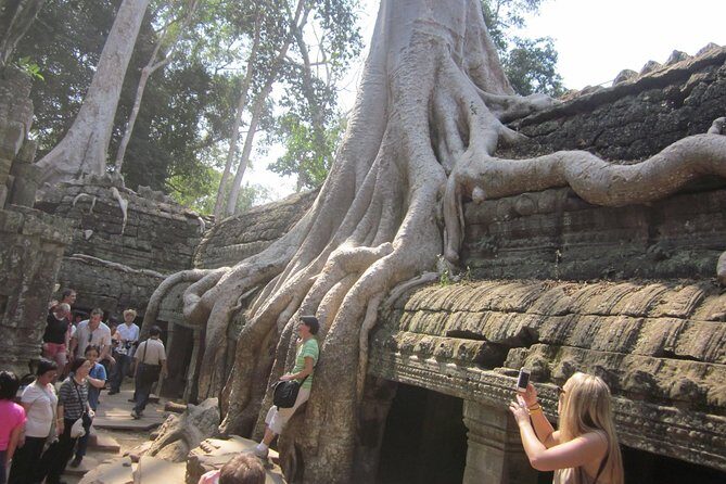 One Day Angkor World Heritage Tour - What this tour is best for (and where it may not fit)