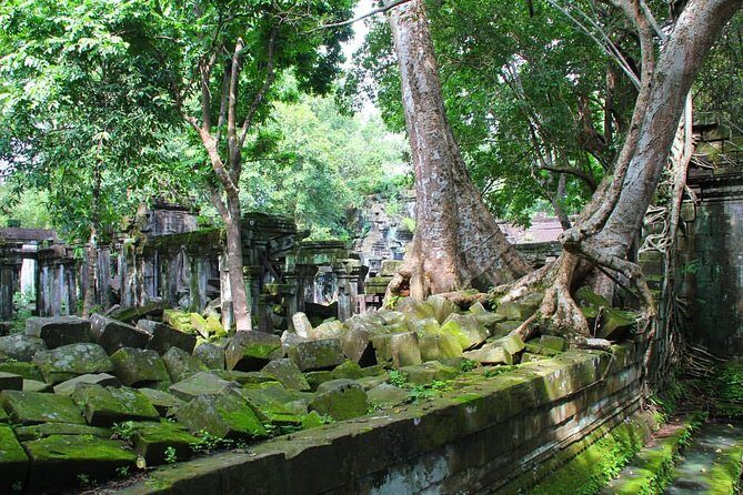 One day normal Angkor tour - Angkor Wat first: a calmer look at the world’s most famous temple