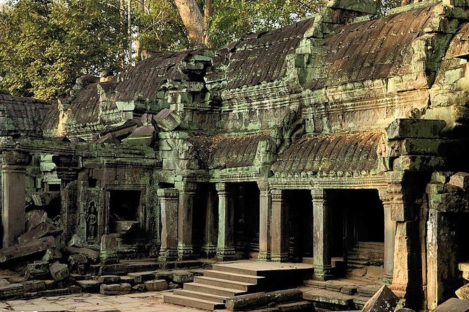 One Day Private Guide Tour of Angkor Thom, Bayon, Ta Phrom & Angkor Wat - Ta Prohm after lunch: the temple that looks like time paused