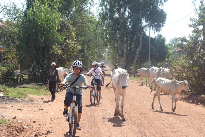 Oudong Mountain And Floating Village Cycle Tour - Price and Value: What $85 Buys in a 9-Hour Tour