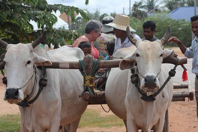 Ox-cart Culture Tour, Countryside Experince in Siem Reap - Key Things To Know Before You Go