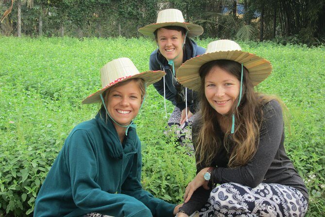 Ox-cart Culture Tour, Countryside Experince in Siem Reap - Stilt Houses, Gardens, and Daily Life Away from the Temples