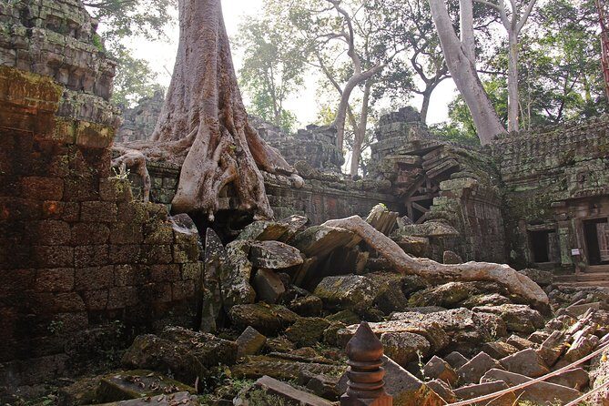 Personalised Angkor Wat Day Tour by an Air-conditioned Car - Angkor Wat first: Suryavarman II and the world-famous silhouette