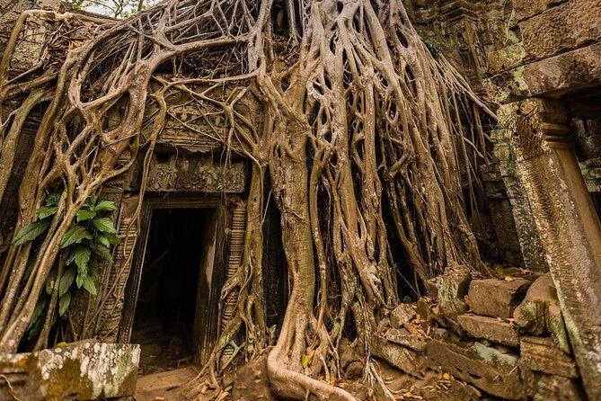 Personalised Angkor Wat Day Tour by an Air-conditioned Car - Price breakdown: what you really pay for Angkor