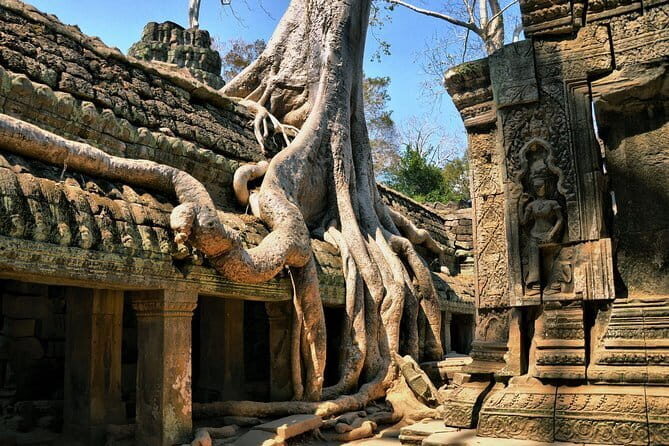 Personalised Angkor Wat Sunrise Off-the-Beaten Track Tour - Should You Book This Angkor Wat Sunrise Off-the-Beaten Track Tour?