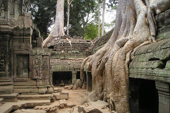 Personalised Angkor Wat Sunrise Tour by an air-conditioned car - Private pickup at 5am in an air-conditioned car