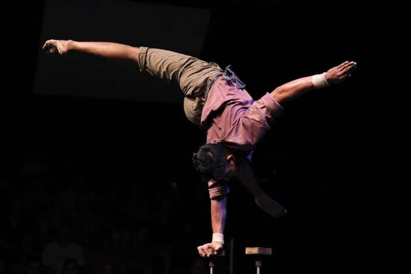 Phare: The Cambodian Circus Show with Pick up & Drop off - The driver and pickup details that make or break the night