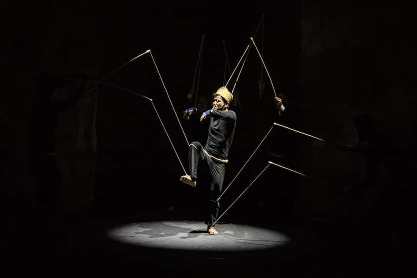 Phare: The Cambodian Circus Show with Pick up & Drop off - Who should book Phare Circus, and who should think twice