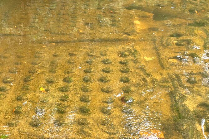 Phnom Kulen Waterfall and Banteay Srei Temple Tour from Siem Reap - The 1000 Lingas riverbed carvings and Preah Ang Thom