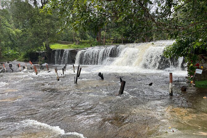 Phnom Kulen Waterfall and Banteay Srei Temple Tour from Siem Reap - What the guide and driver add to the day