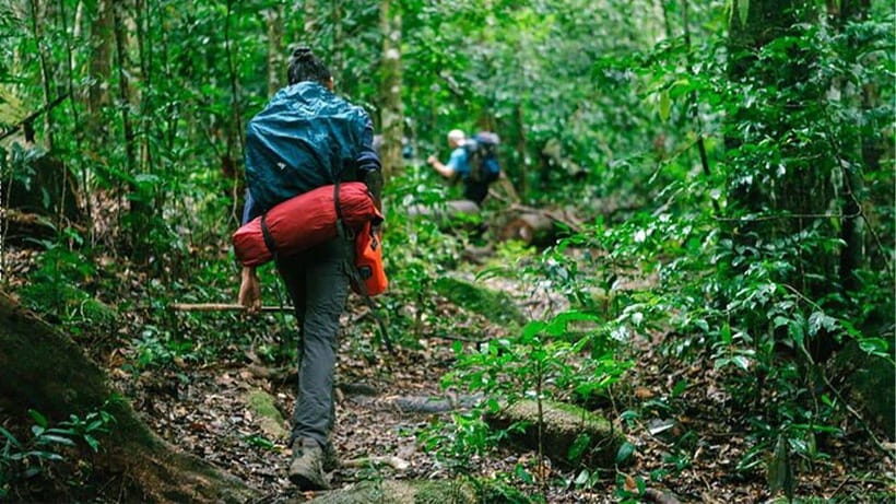 Phnom Penh: 2-Day Aural Mountains Hiking Adventure - Day 1 trekking: lush forest steps, streams, waterfall breaks, and tractor adds-on
