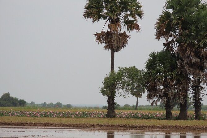 Phnom Penh Countryside Cycle Tour - Who This Tour Suits Best (and Who Might Want a Different Plan)