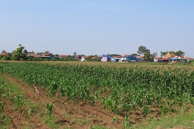 Phnom Penh Countryside Cycle Tour - Should You Book the Phnom Penh Countryside Cycle Tour?