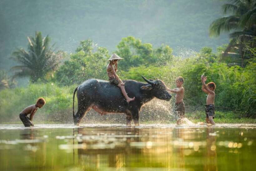Phnom Penh to Siem Reap cruise/land tour (one way) - Who should pick this tour (and who should skip it)