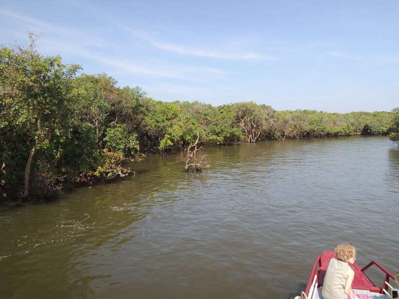 Phnom Penh to Siem Reap cruise/land tour (one way) - Cruise details on the Tonle Sap and Mekong routes