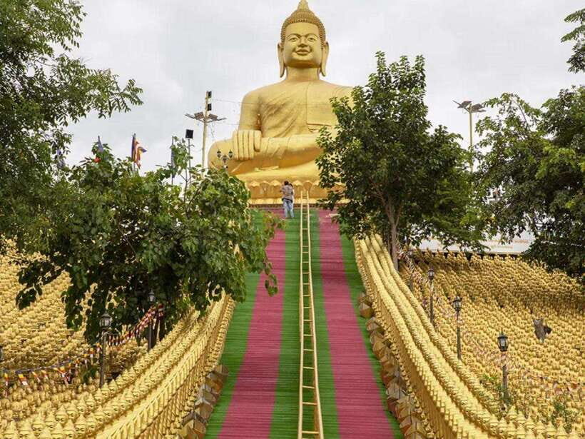 Phnom Tamao Wildlife Center & Buddha Kiri Cambodia Day Tour - Key highlights worth planning for
