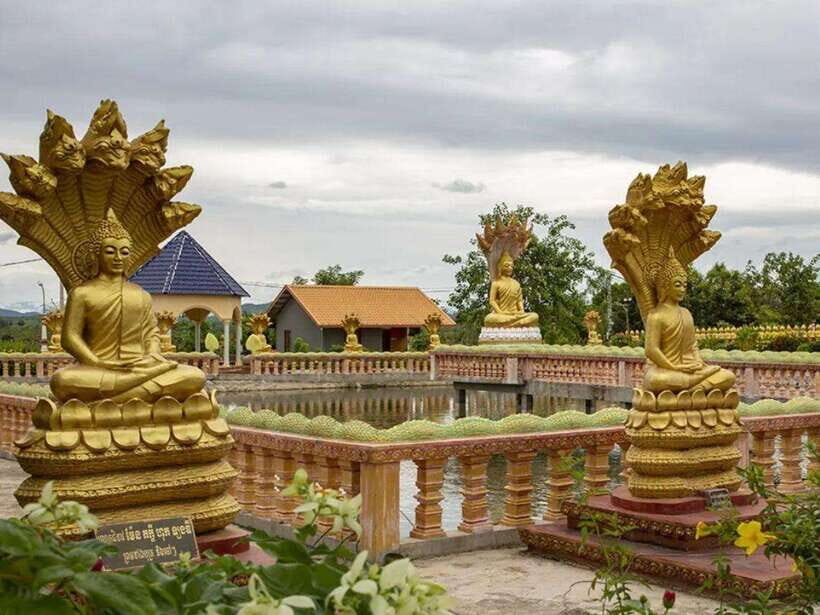Phnom Tamao Wildlife Center & Buddha Kiri Cambodia Day Tour - Tips to make the day smoother (without overplanning)