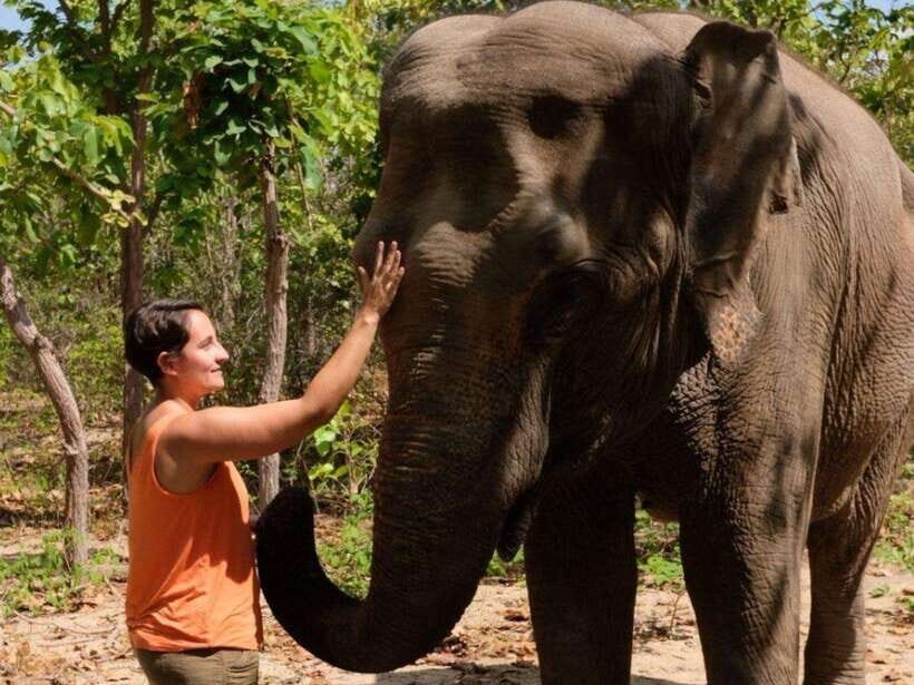 Phnom Tamao Wildlife Center & Buddha Kiri Cambodia Day Tour - Two Cambodia stories in one 8-9 hour circuit