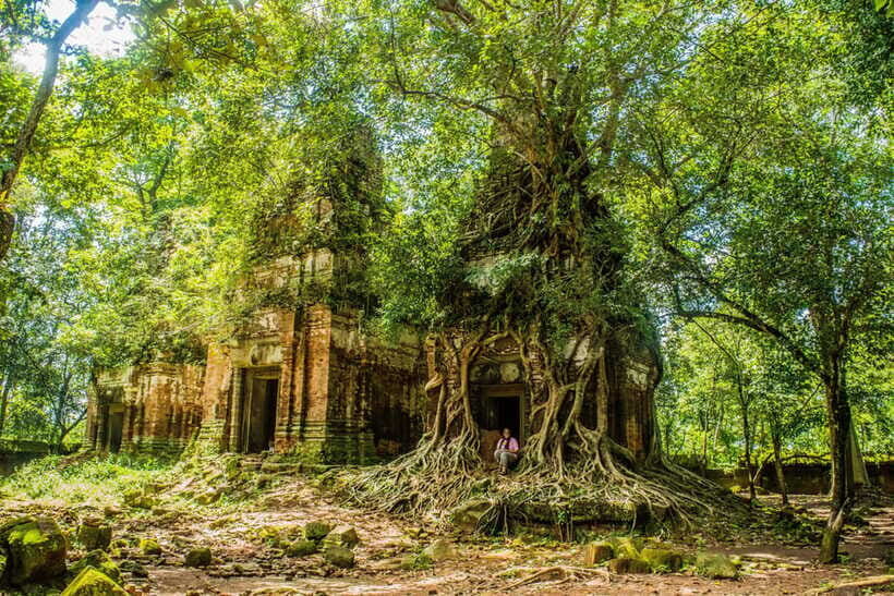 Prasat Thom, Koh Ker Group & Beng Mealea Full-Day Tour - Who This Private Tour Best Suits