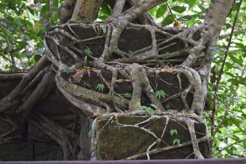 Prasat Thom, Koh Ker Group & Beng Mealea Full-Day Tour - Temple Pass And Lunch: The Two Things You Must Plan For