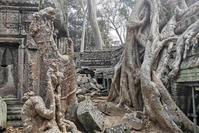 Preah Khan, Ta Prohm, Bayon Off Beaten Track - Why this Angkor day feels calmer than the main circuit