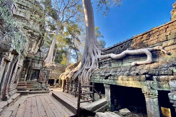 Preah Khan, Ta Prohm, Bayon Off Beaten Track - Meet your driver and guide: what Panha gets praised for
