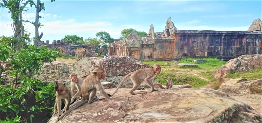 Preah Vihear Temple Koh Ker & BengMealea Tour from Siem Reap - Price and value: what $41 covers and what to budget extra