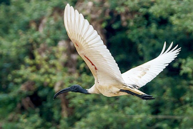 Prek Toal Birds Sanctuary and floating Village Private Day Tour - Why Prek Toal feels different from typical Siem Reap day trips
