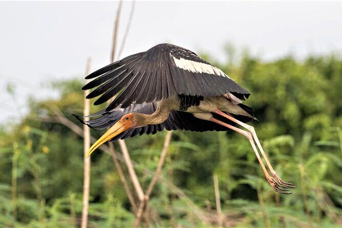 Prek Toal Birds Sanctuary and floating Village Private Day Tour - Floating villages again: Chong Kneas vs Mechrey Pier by season