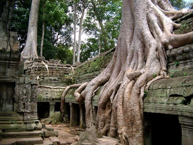 Private Angkor Sunrise, Guide Breakfast and Tuktuk included - Price and logistics: what $24 really means
