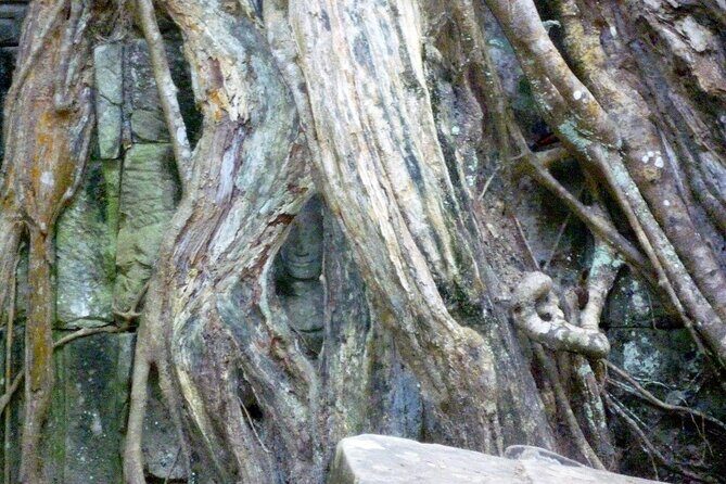 Private Angkor Wat Day Tour - Best of Angkor - Should You Book the Private Angkor Wat Day Tour?