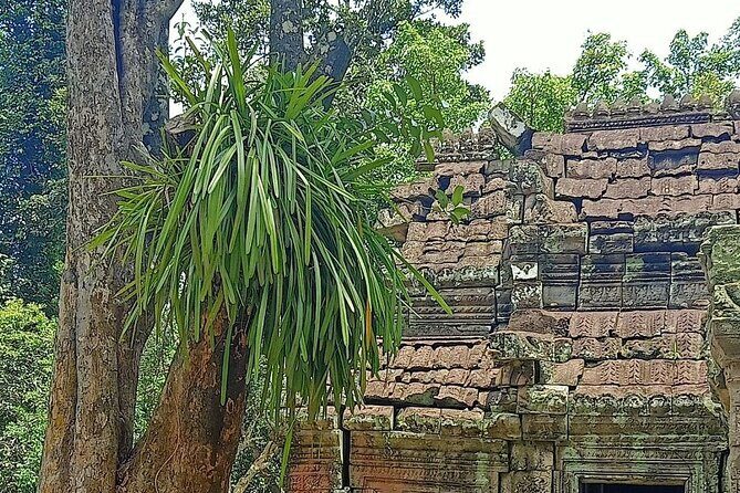 Private Angkor Wat Guided Sunset Tour - Who This Private Angkor Wat Sunset Tour is best for