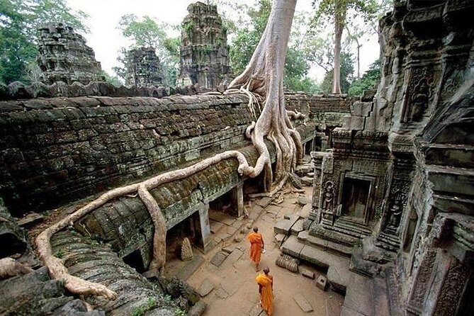 Private Angkor Wat Sunrise Tour - Angkor Wat Sunrise Runs Early, and That Matters
