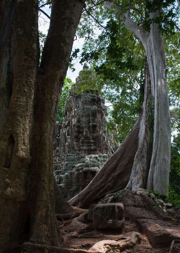 Private Angkor Wat Temple Tour - Angkor Wat: three hours to see the big idea