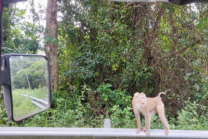 Private Bokor tours by Rickshaw/SUV Car - Old Catholic Church of Mount Bokor: The French Colonial Contrast