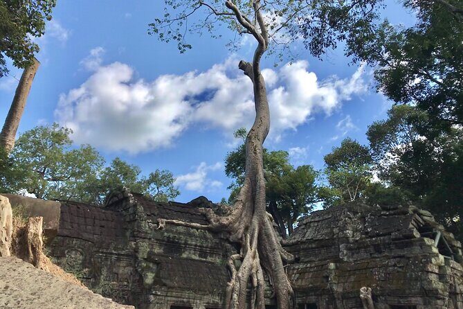 Private Guided Angkor Wat Tour by Lady Tuk Tuk with Monk Blessing - Temple Timing That Helps Your Photos and Your Sanity