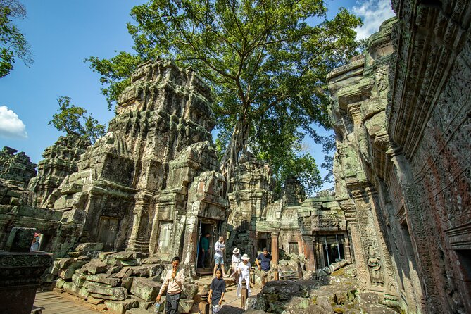 Private Guided Tour To Angkor Wat & Its Surrounding-Angkor Park - Stop 4: Ta Nei for a Quiet Jungle Reset