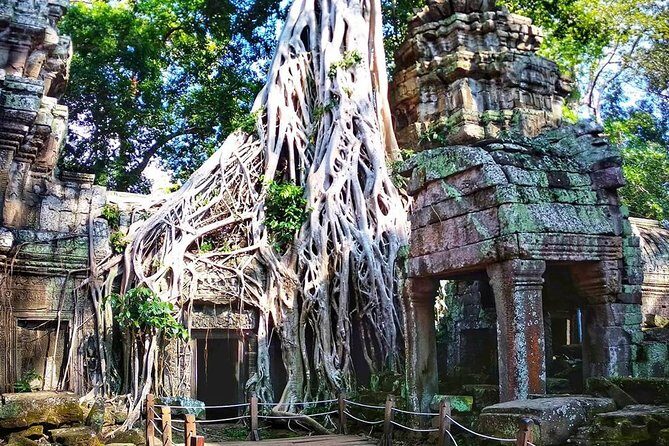 Private Guided Tours-Sunrise Angkor Wat, Ta Prohm, Bayon and more - Booking style and timing: why this tour works for first-timers