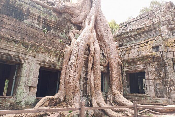 Private One Day Trip-The Best Experience in Siem Reap - Dress code, tickets, and small rules that save you stress