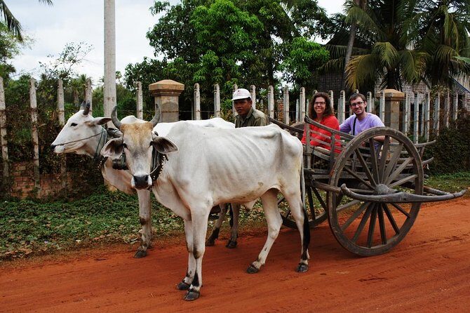 Private Ox Cart Ride and Local village Experience from Siem Reap - The Countryside Ride: Rice Fields, Uneven Ground, and Farm Life