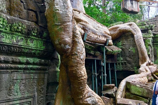 Private Siem Reap 4 Days: Full Exploration of the Angkor Complex - Day 4: Tonlé Sap Lake and Kampong Phluk Floating Village