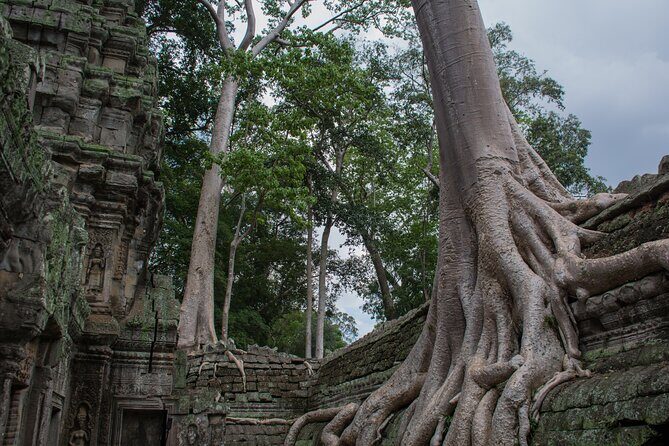 Private Siem Reap Airport Transfer to hotel in town - What you actually get: private ride, A/C, and comfort details