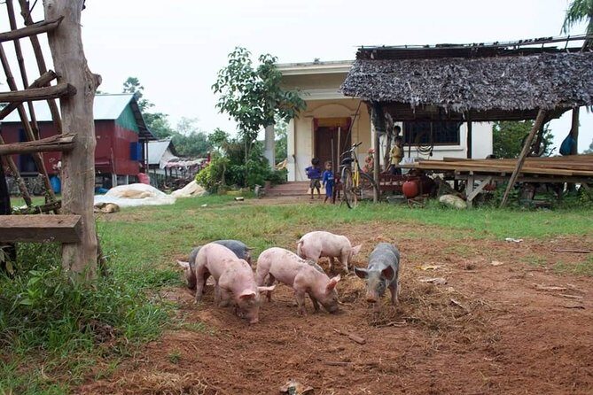 Private Siem Reap Quad Bike Adventure - Is $239 good value for a 3-hour private quad tour?