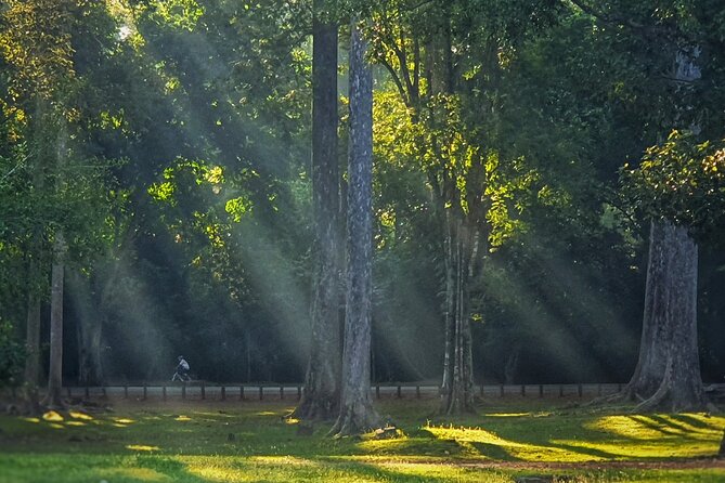 Private Sunrise and Sunset Angkor Park Tour with Rest Mid-Day - Sunrise and sunset, but with a midday reset (this is the smart part)