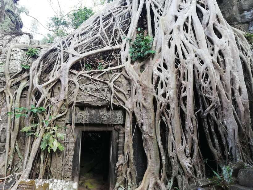 Private Sunrise Angkor Wat Tour - Angkor Thom and the South Gate: the Khmer capital in one run