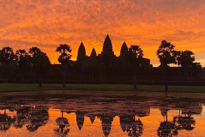 Private sunrise 'small tour' of Angkor Wat with car or van & Guide - Ta Prohm: The Jungle Ruin Look People Dream About