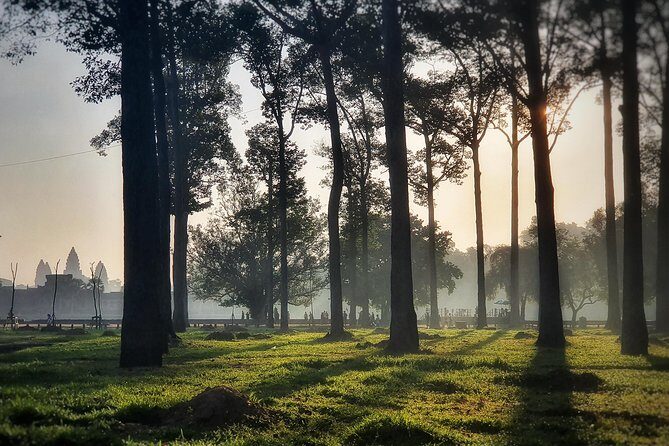 Private sunrise tour to Angkor Wat & other highlights with Professional Guide. - Ta Nei: A Quieter Jungle Temple You’ll Feel More Than Photograph