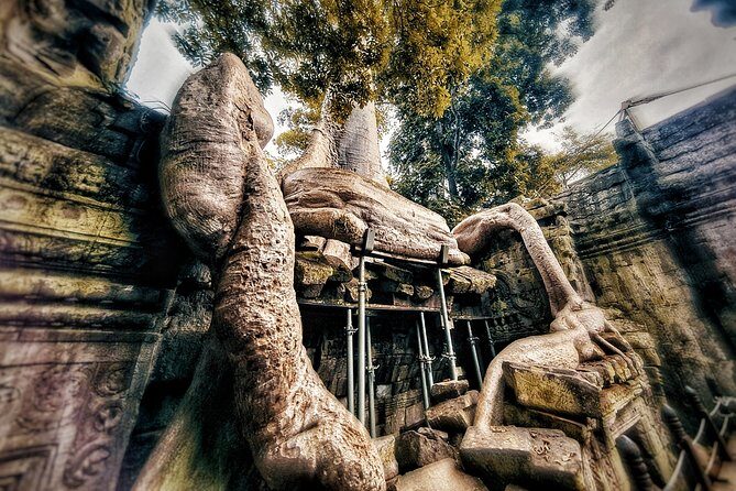 Private sunrise tour to Angkor Wat & other highlights with Professional Guide. - Getting Around Comfortably in the Heat (The Practical Stuff)