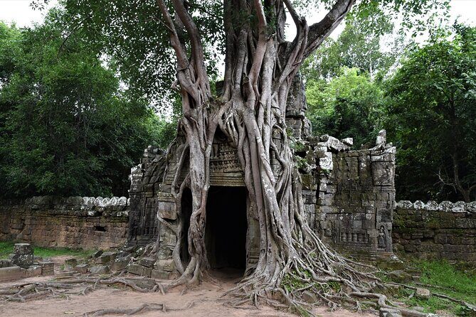 Private Taxi Siem Reap to Phnom Penh, Reliable Driver, Transfer - Why This Siem Reap to Phnom Penh Taxi Feels Easier Than DIY