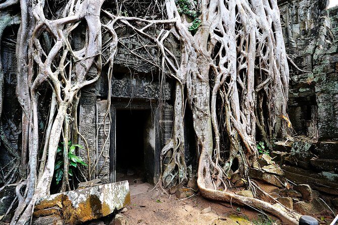 Private Temples Guided Tour (Angkor Wat, Ta Prom & Angkor Thom) - Photo Tips and Heat-Proofing: How to Enjoy It Without Rushing